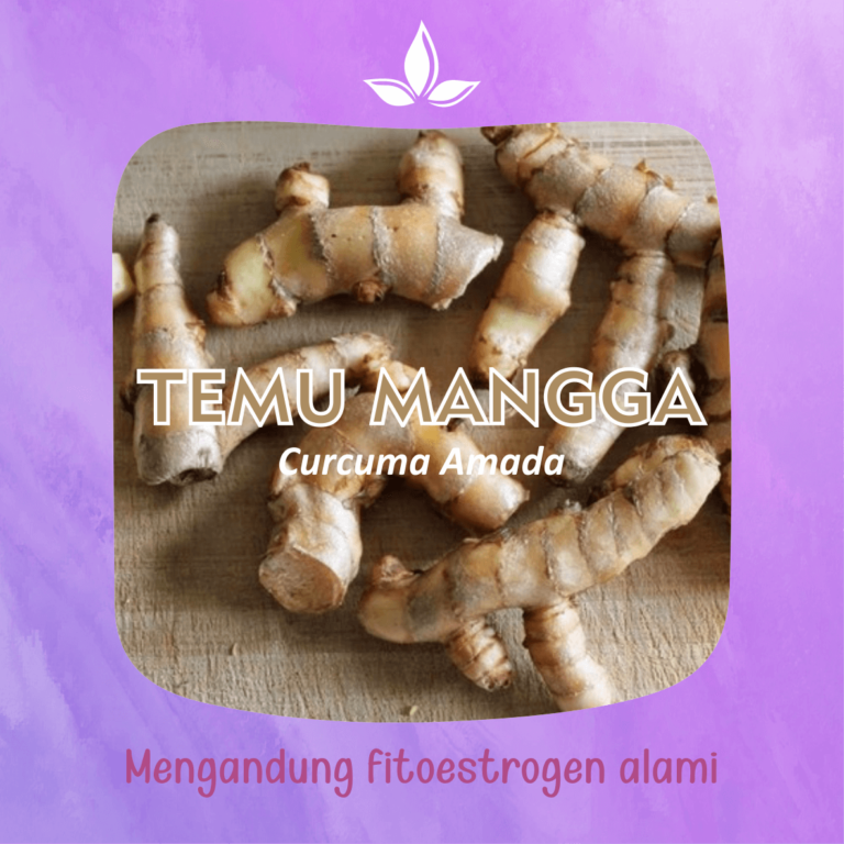 Temu Mangga