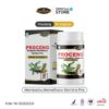 PROCENG - Herbal Stamina Pria