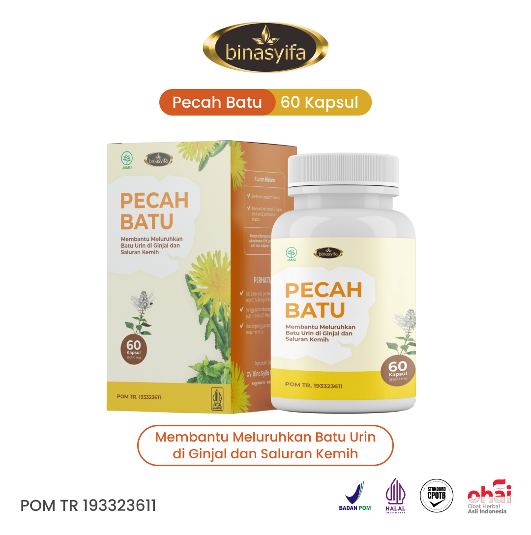 Thumbnail Pecah Batu 2026 - Website PECAH BATU - Herbal Batu Ginjal & Infeksi Saluran Kemih